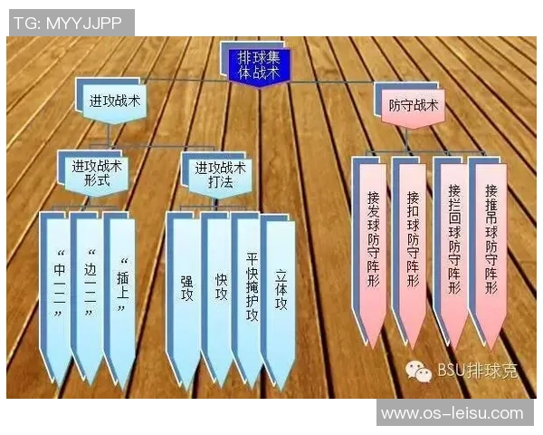 上海排球队的战术变革与球员角色转换全解析