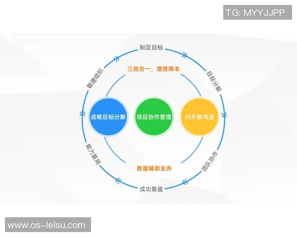 南京排球队与北京排球队赛后复盘团队协作的成功与不足分析