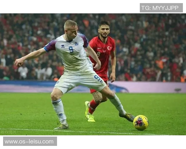 土耳其与冰岛足球比赛现场直播精彩瞬间全记录