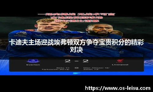卡迪夫主场迎战埃弗顿双方争夺宝贵积分的精彩对决